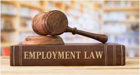 practice area - Employment Law